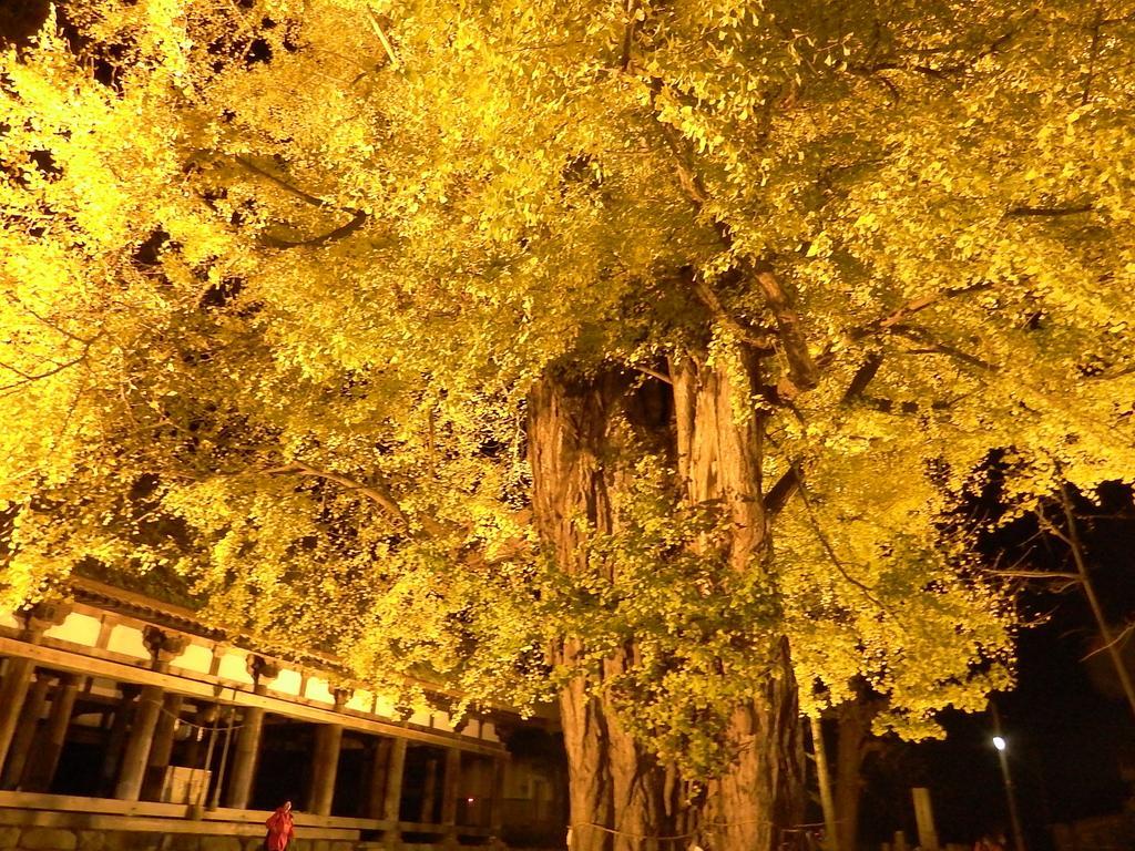 Yamagataya Hotel Kitakata Kültér fotó
