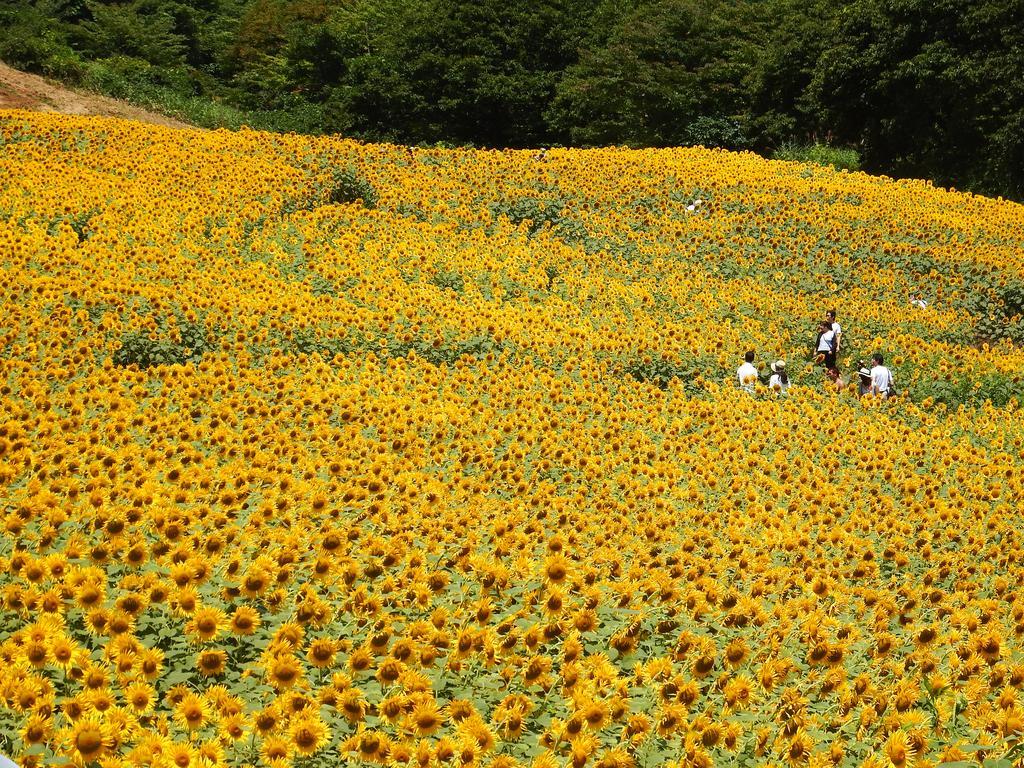 Yamagataya Hotel Kitakata Kültér fotó