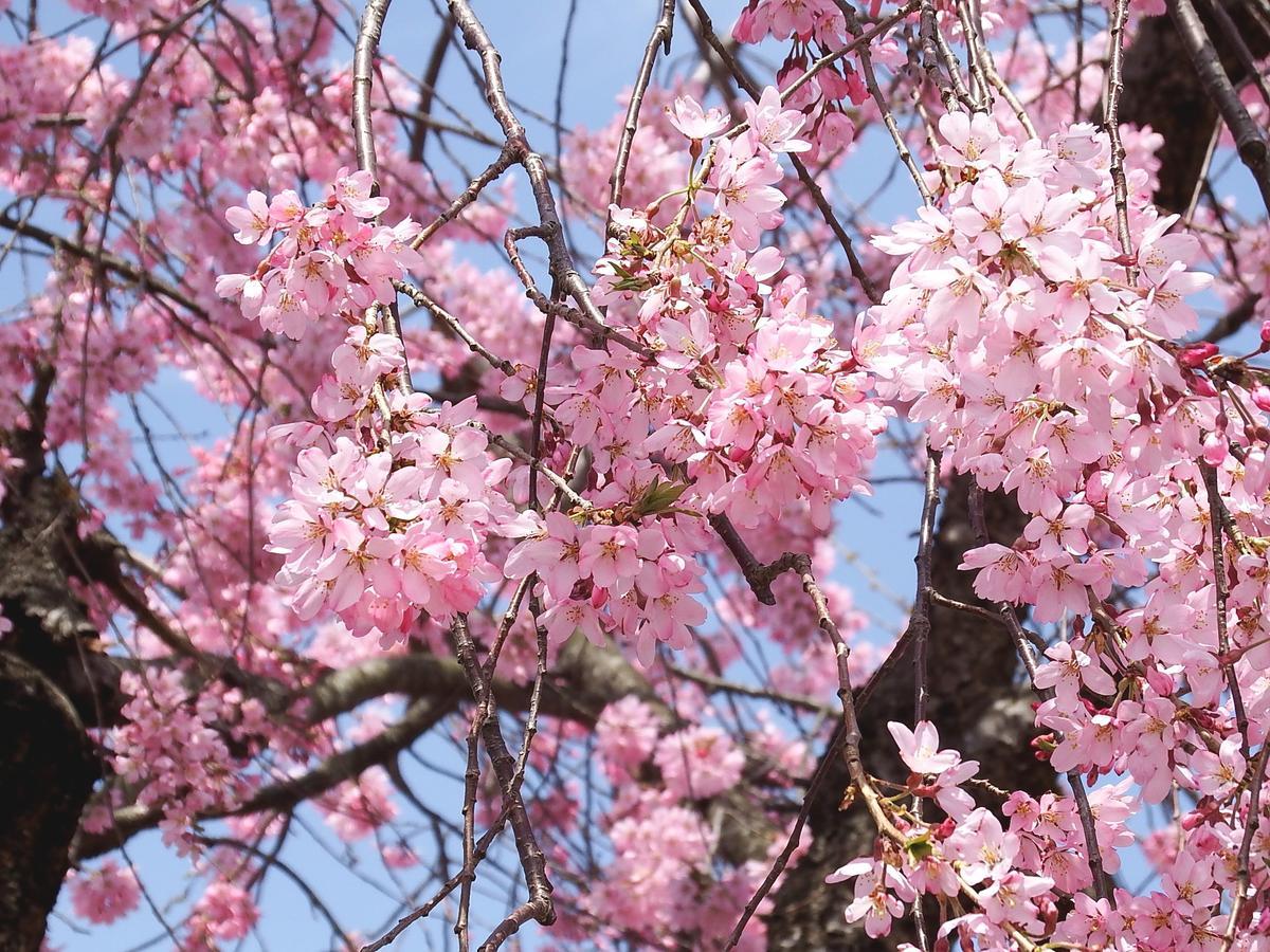 Yamagataya Hotel Kitakata Kültér fotó